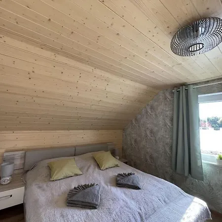 Christel Modern Retreat Holiday home Hasselfelde